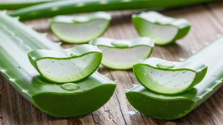 A aloe vera, também conhecida como babosa, é um dos ingredientes naturais mais completos e versáteis dentro do universo do skincare.